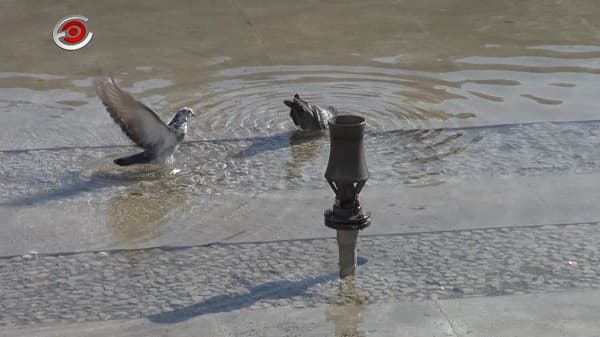 "Kupanje" fontane za novu sezonu (VIDEO)