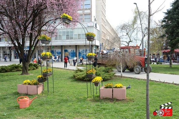 Redovno prolećno sređivanje (FOTO)