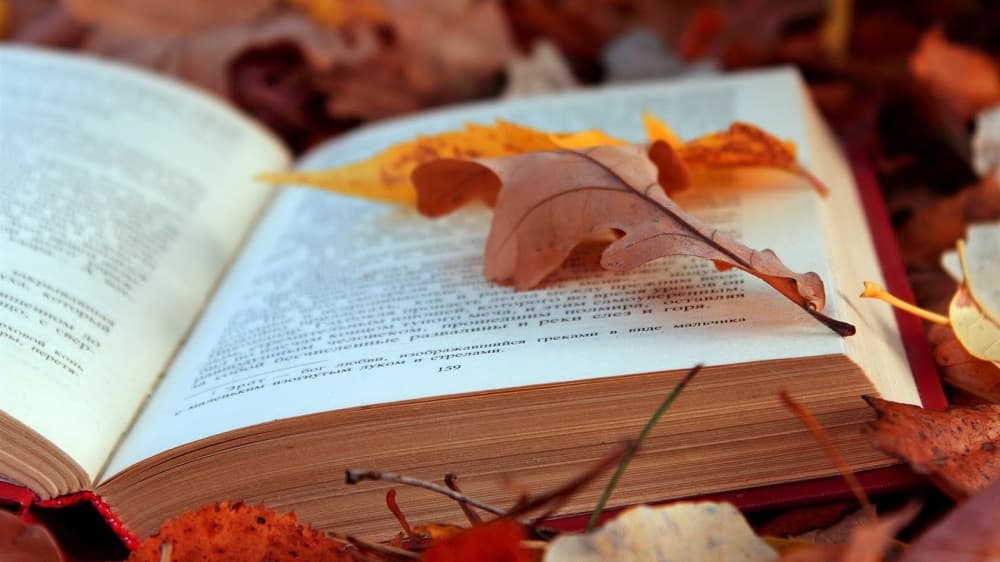 Završen letnji režim rada Biblioteke