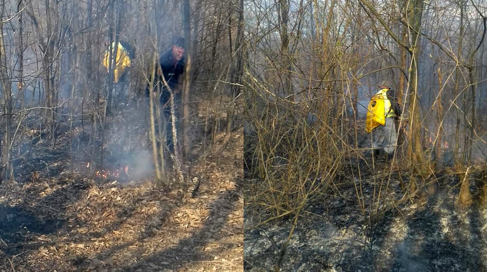 Požar u Šebecima kod Čačka, gori 2 hektara šume