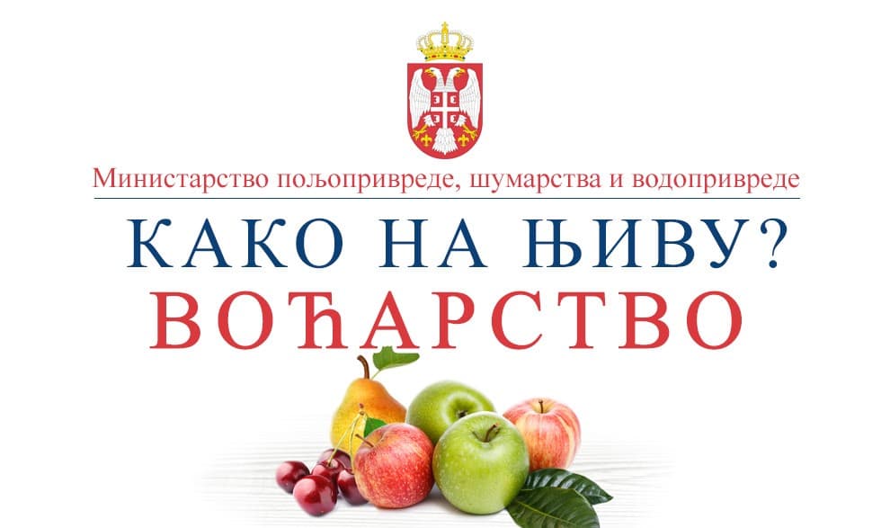 Kako do dozvole za kretanje: Uputstvo za proizvođače voća i povrća