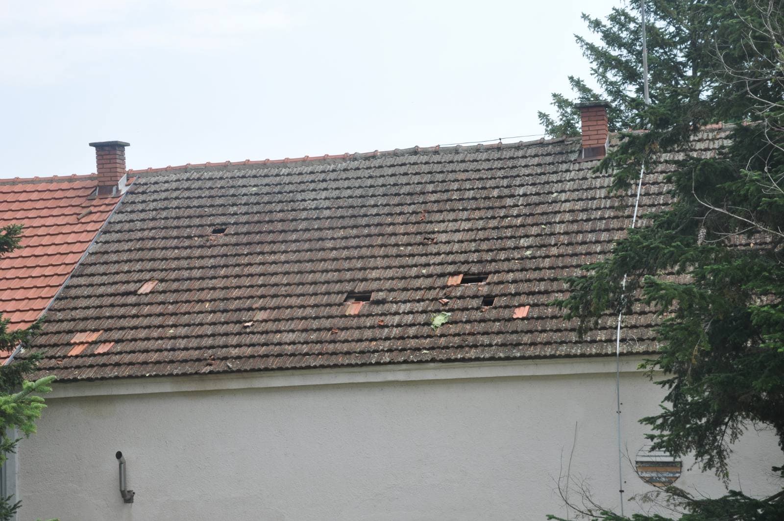 OŠ "Preljina" na meti huligana