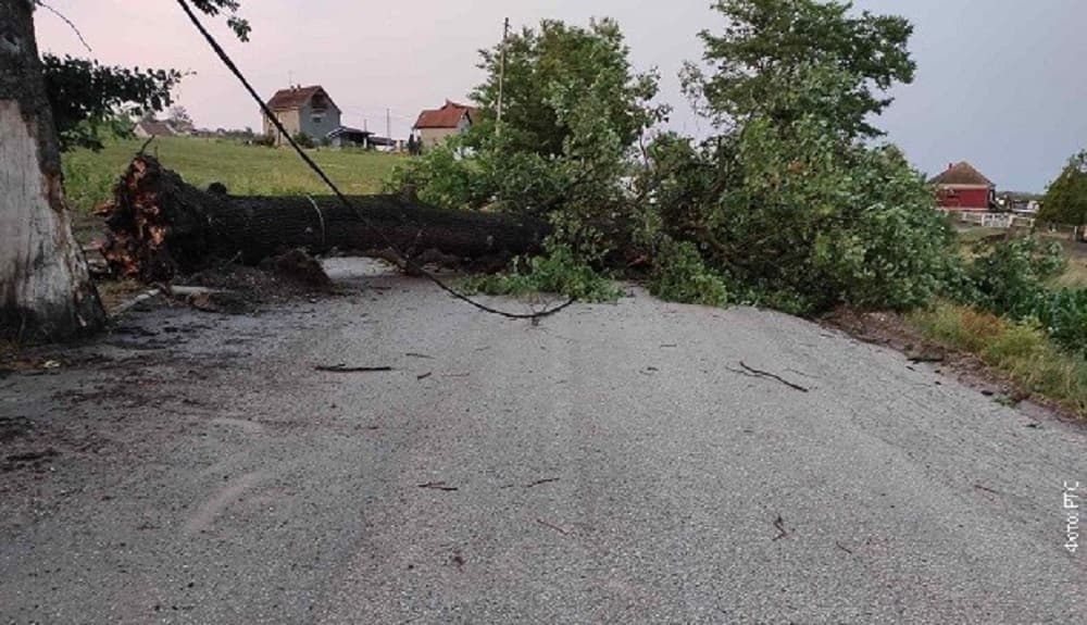 Čačak: Vetar nosio sve pred sobom, kolaps na putevima, grad obrao zasade voća