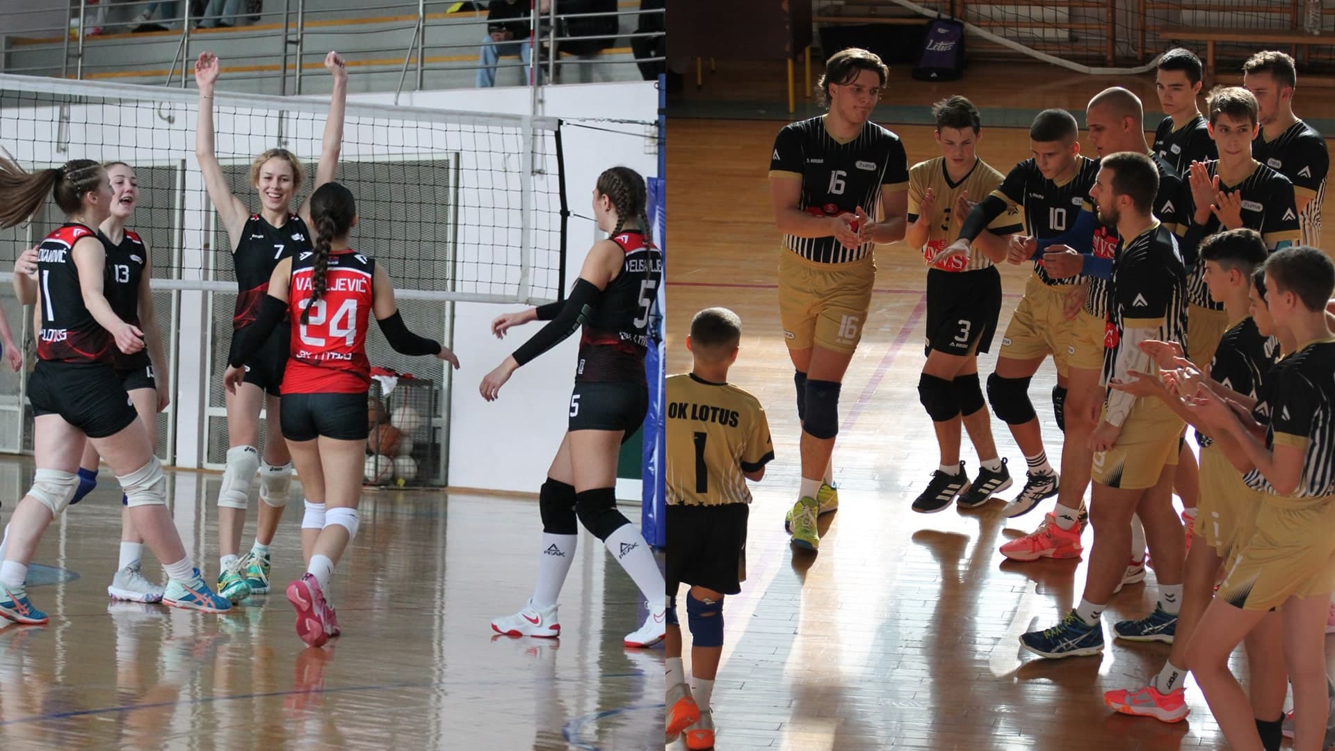 Polovičan uspeh OK Lotus: Pobeda odbojkašica i poraz odbojkaša