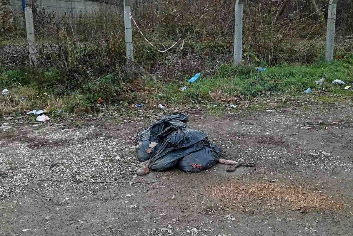 GRAčANI REPORTERI: Nemar, nebriga i neodgovornost - put ka kolektivnoj zarazi (FOTO)