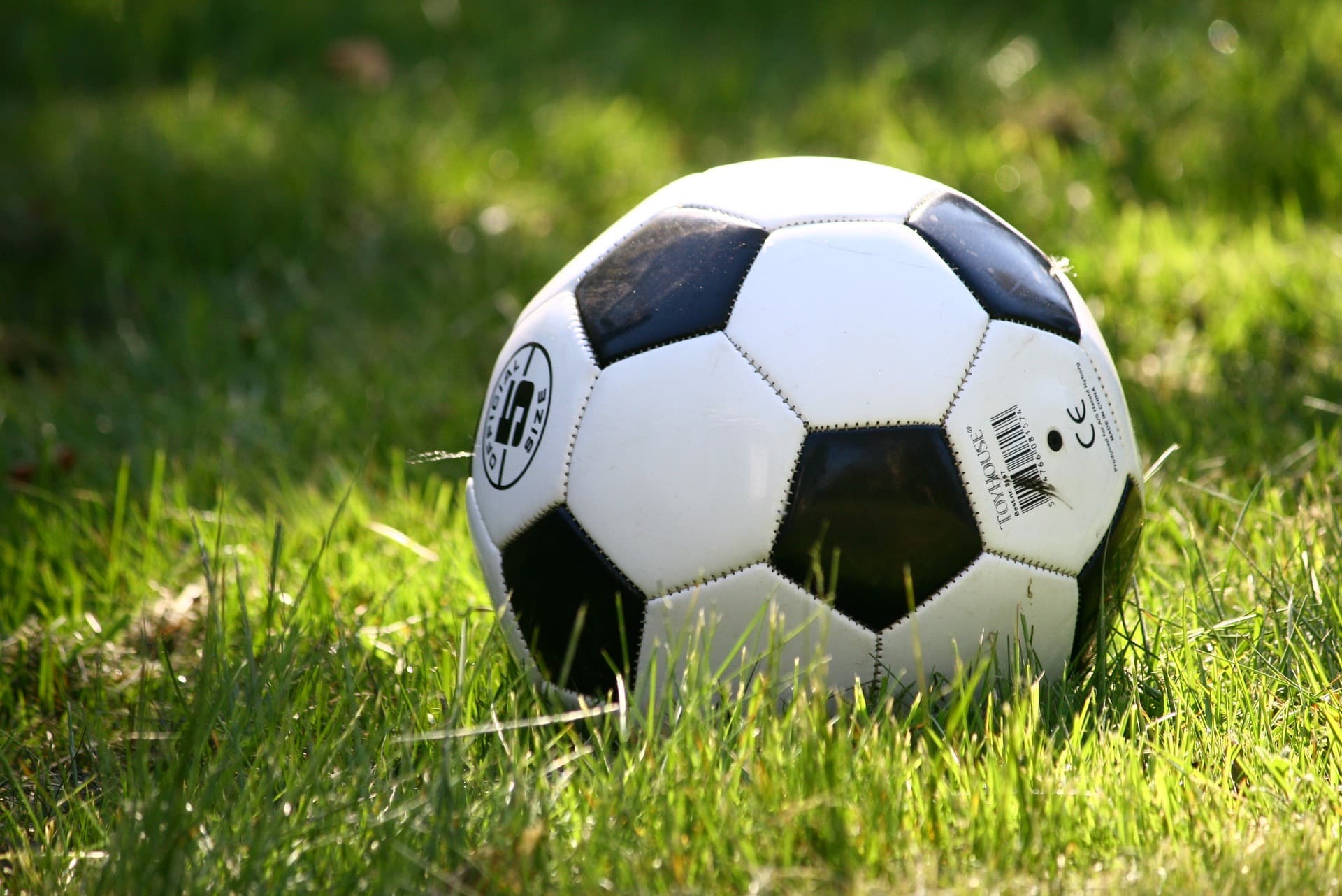 Partizan osvojio bod na gostovanju u Elbasanu
