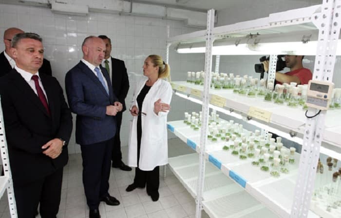 Ministar Popović: Razvojem inovativnih kompanija zadržati mlade