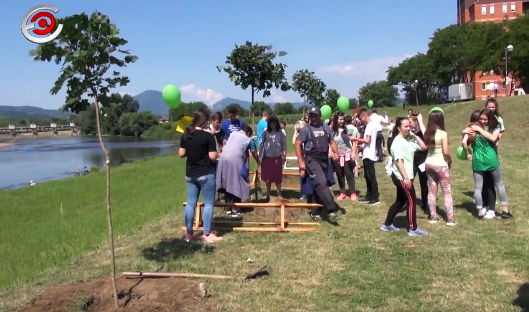 Čačak bez sredstva za pošumljavanje
