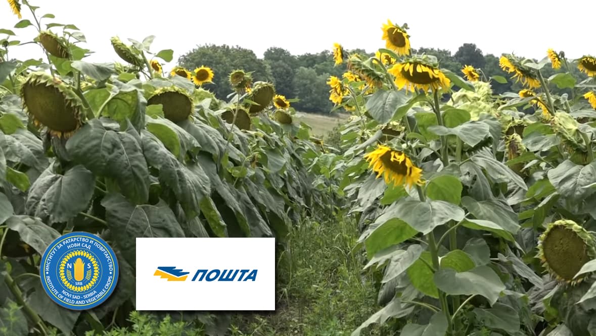 Pošta Srbije besplatno isporučuje seme za prolećnu setvu