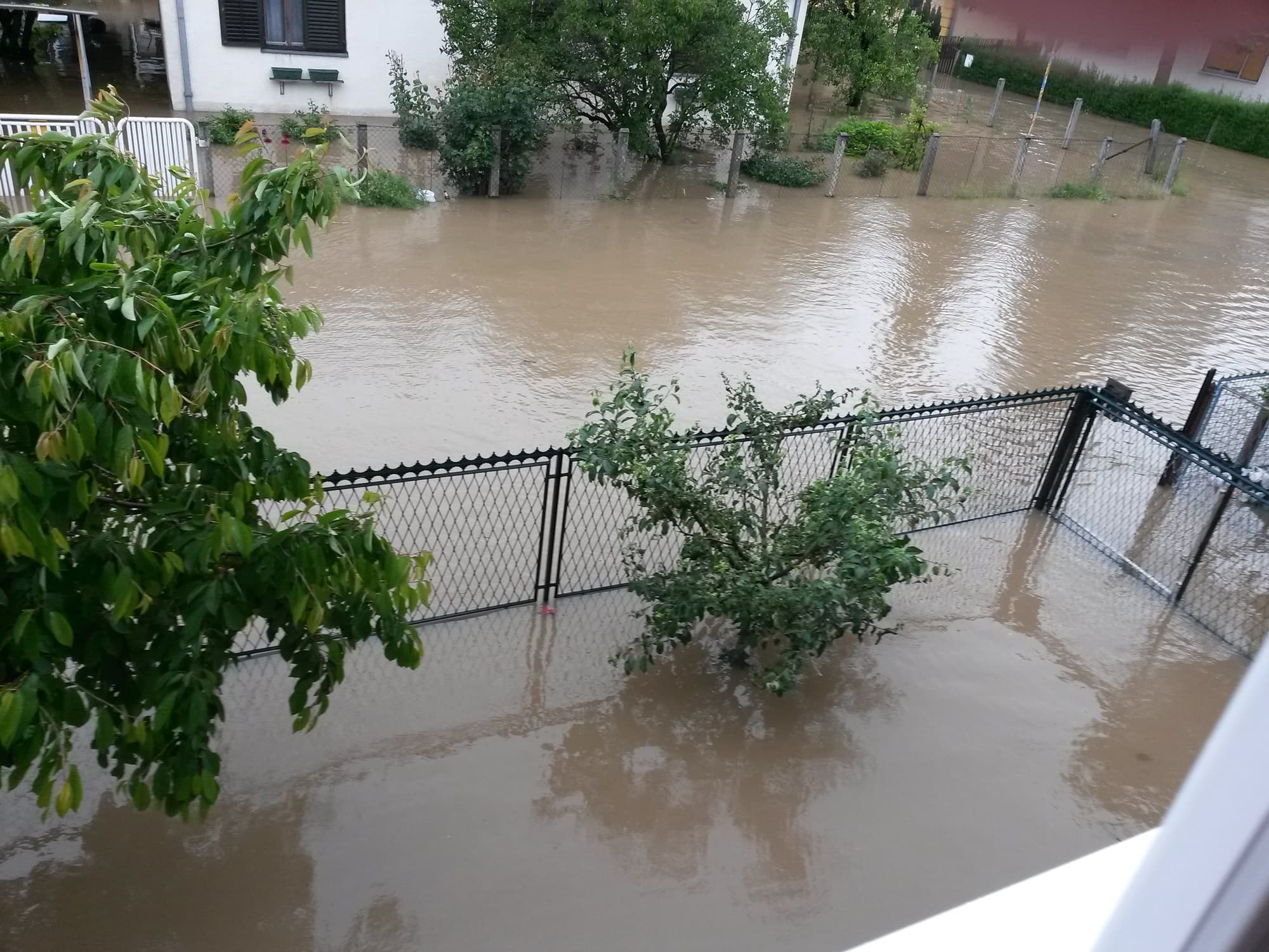 Udruženje "Poplavljeni": Decenija koju su pojeli skakavci