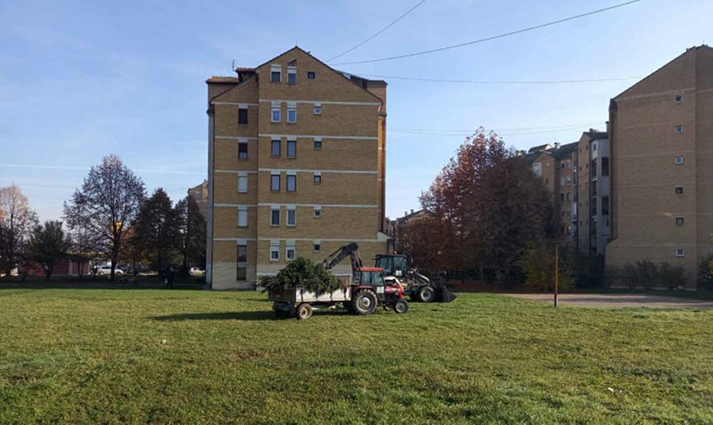 Zeleni pojas Čačka: U Aveniji 2 zasađeno 35 stabala lišćara i četinara